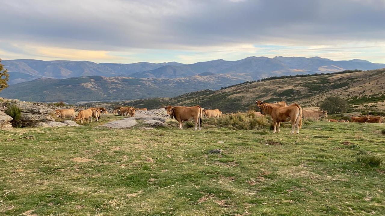 El Pajar De Tio Mariano Villa Solana de Avila Esterno foto